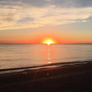 Meet your Posher, Tabitha